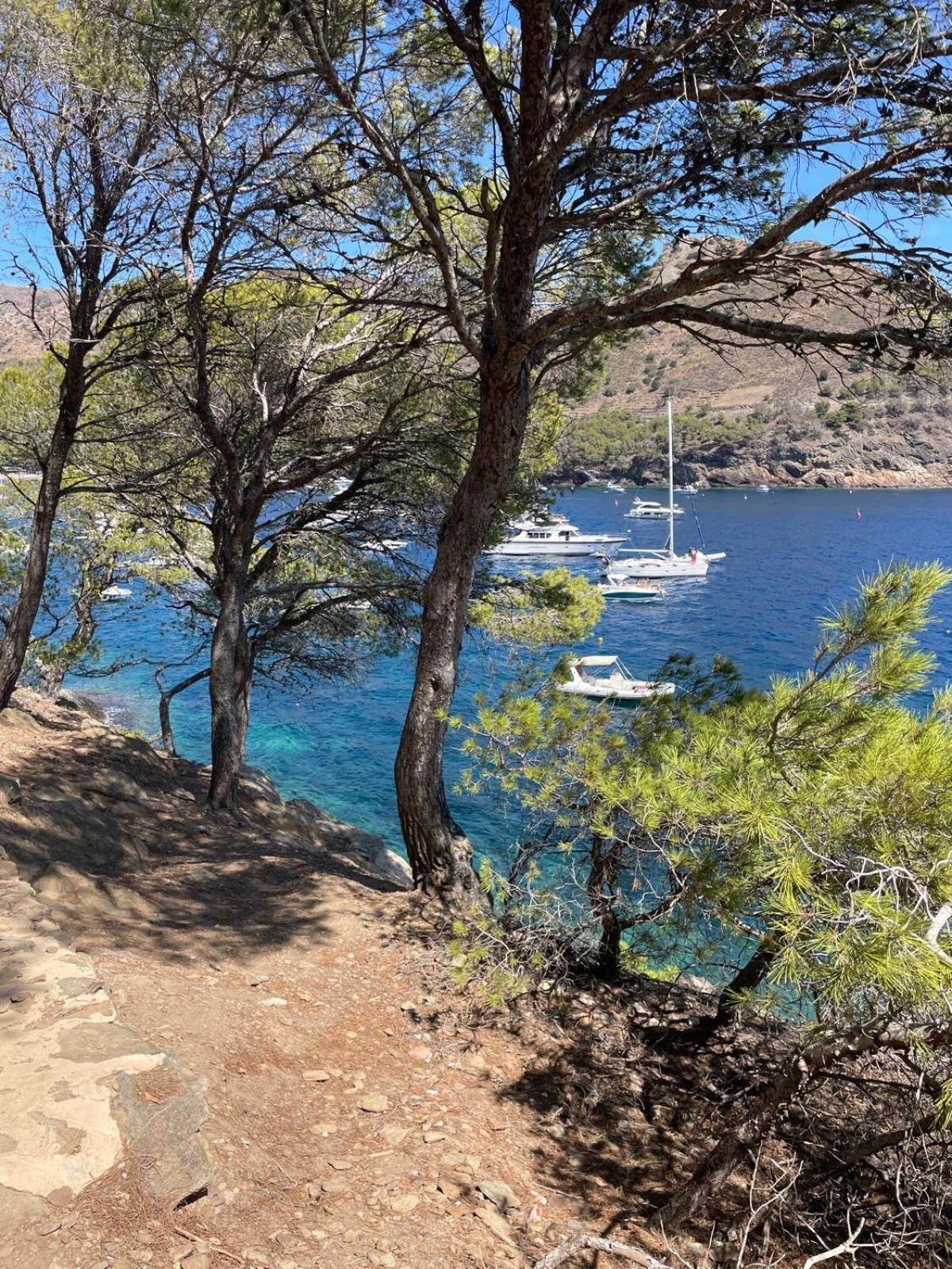 Hébergement de vacances Pordofo 2 Roses